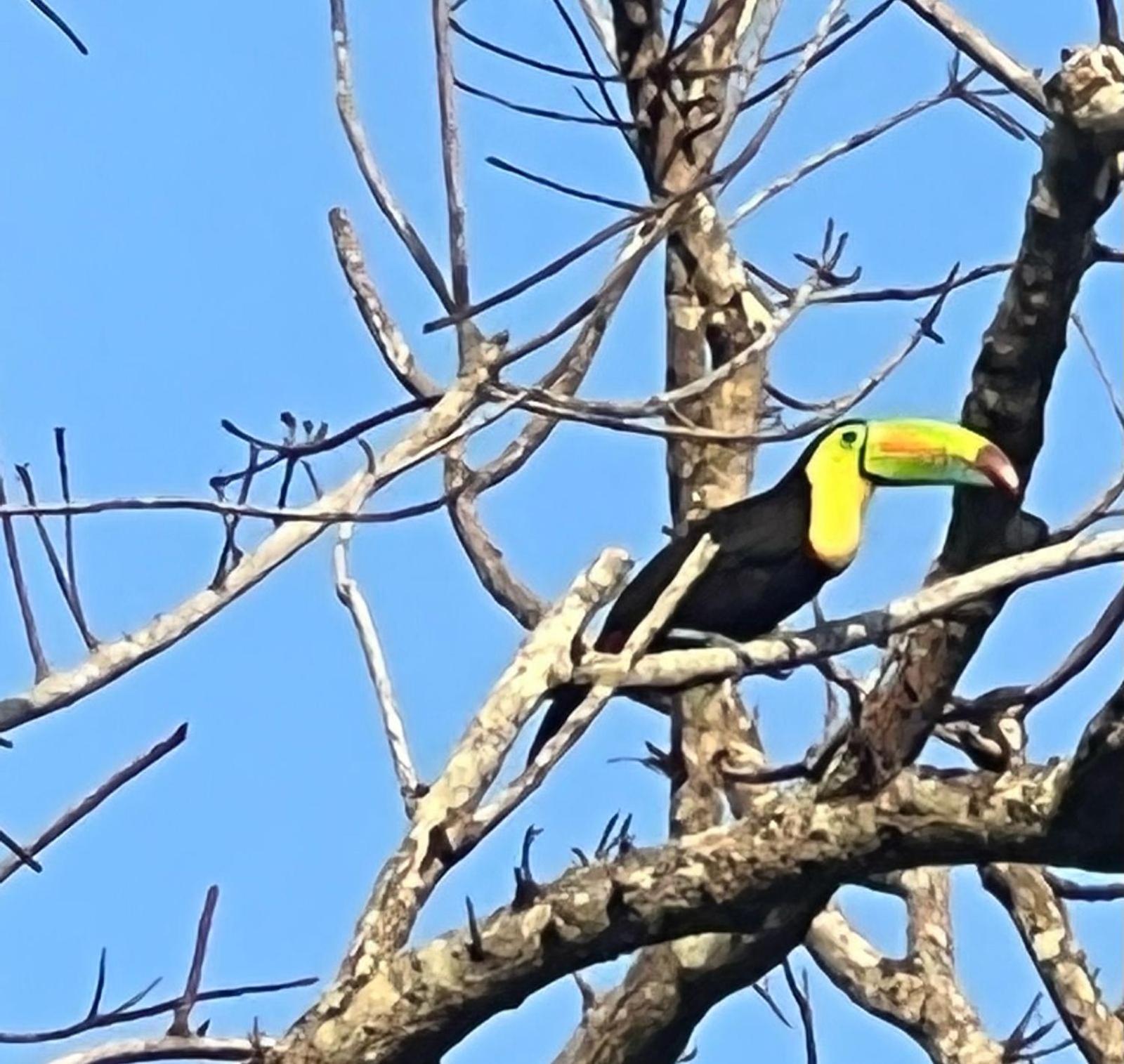 Tawaca Ecohotel Calabazo  外观 照片