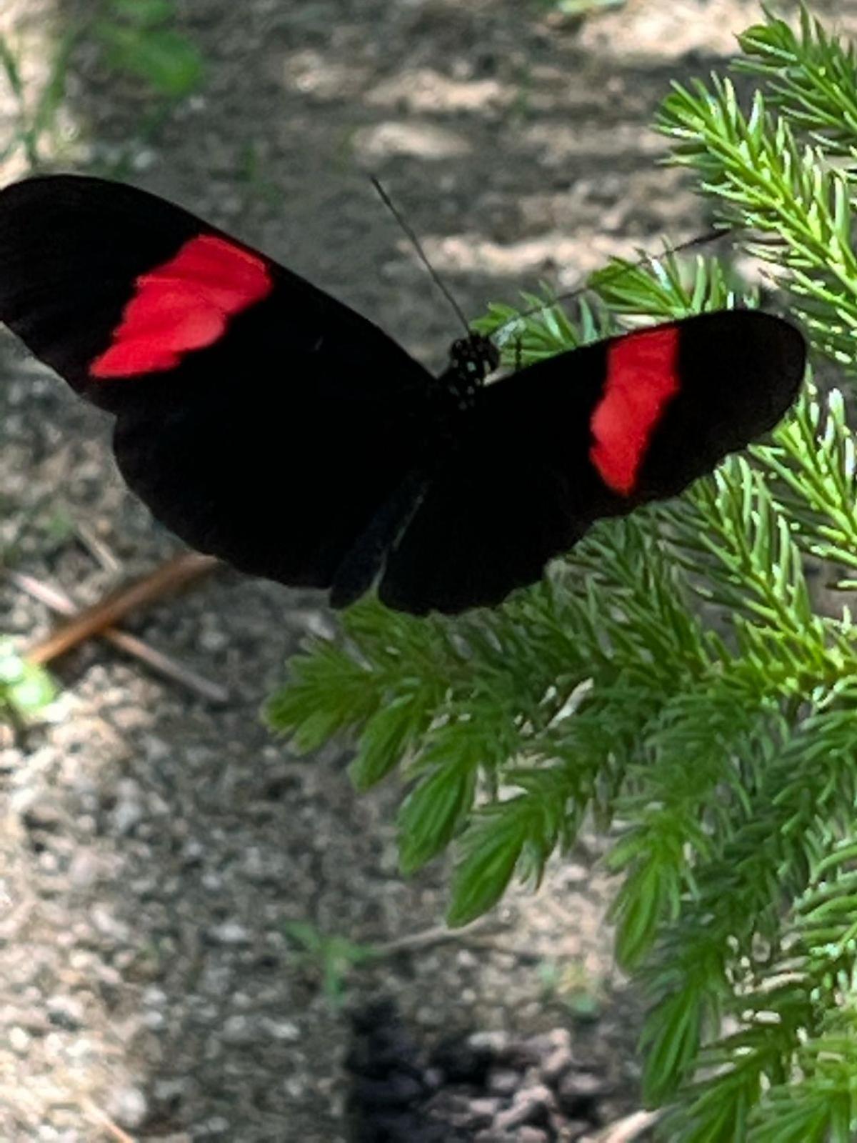 Tawaca Ecohotel Calabazo  外观 照片