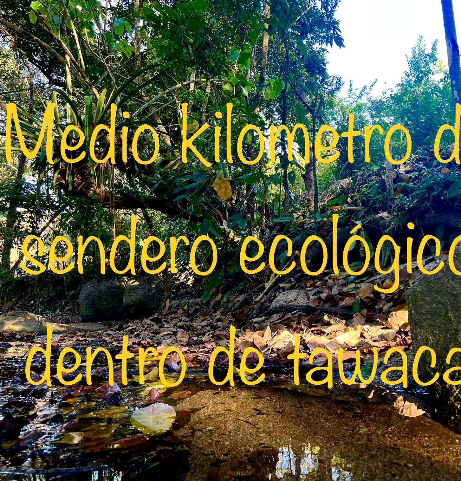 Tawaca Ecohotel Calabazo  外观 照片